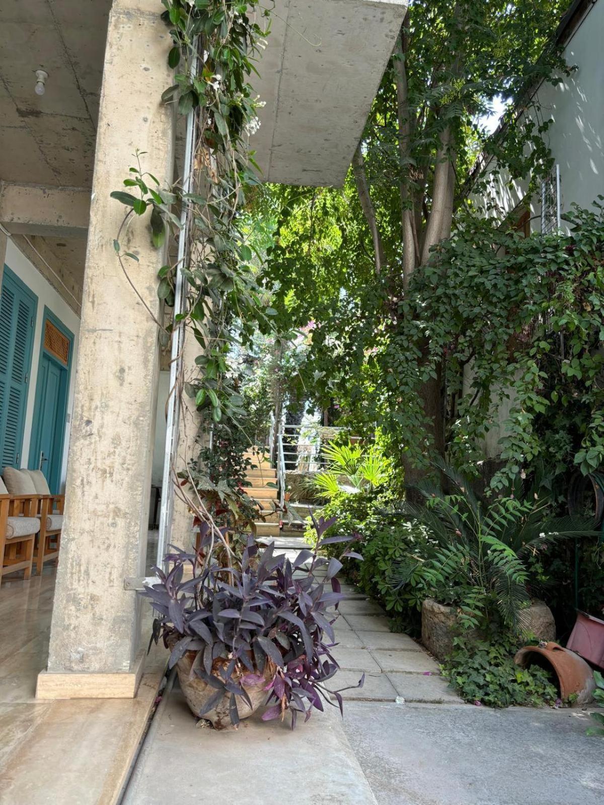 Nicosia Eagle Eye Nicósia Exterior foto